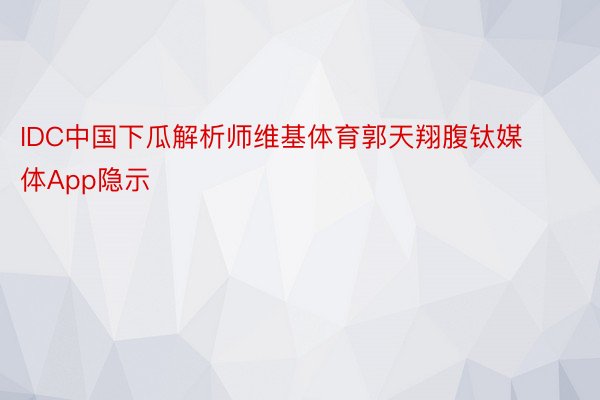 IDC中国下瓜解析师维基体育郭天翔腹钛媒体App隐示