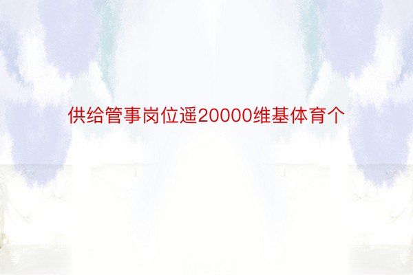 供给管事岗位遥20000维基体育个