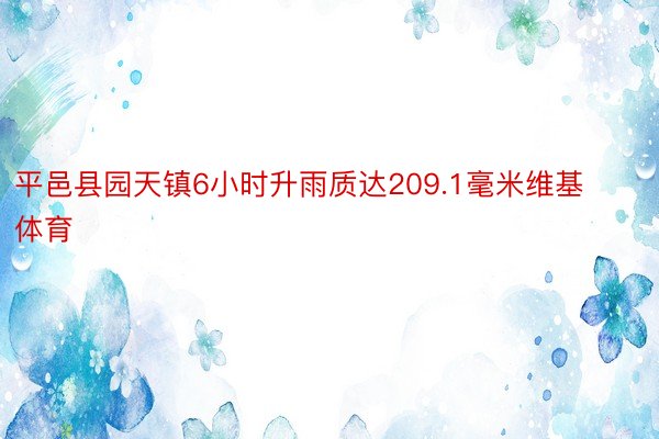 平邑县园天镇6小时升雨质达209.1毫米维基体育